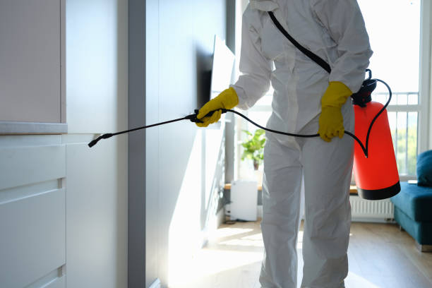 Best Certified Mold Removal  in Shawneeland, VA